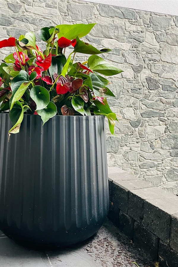Creative Outdoor Pots