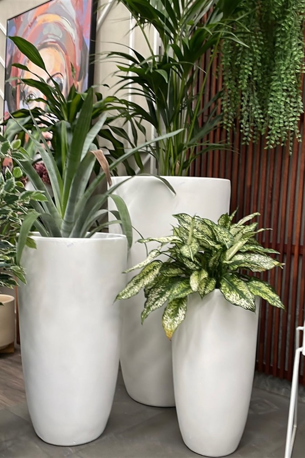 Creative Outdoor Pots