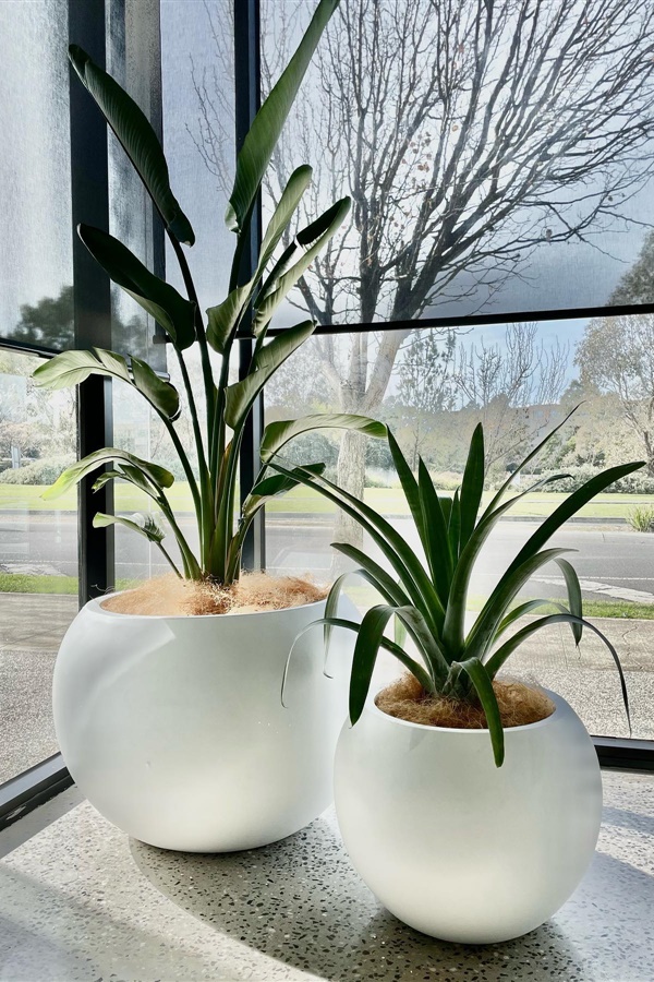 Creative Outdoor Pots