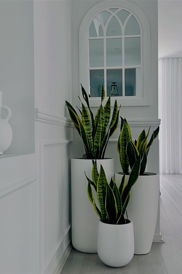 Creative Outdoor Pots