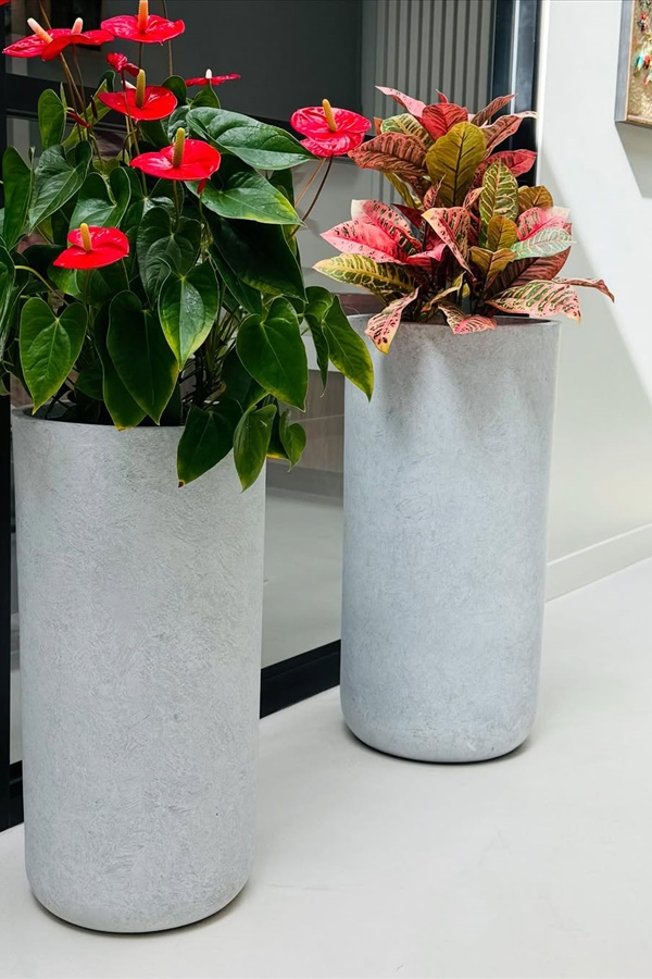 Creative Outdoor Pots