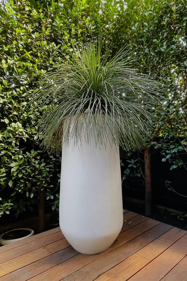 Creative Outdoor Pots