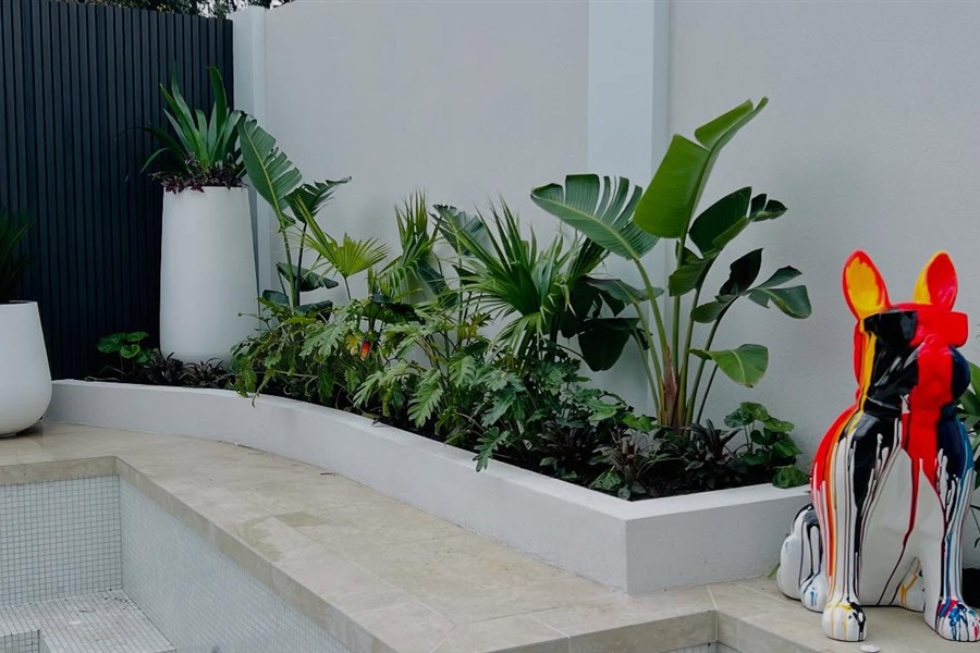 Creative Outdoor Pots
