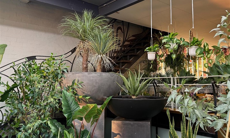 Creative Outdoor Pots